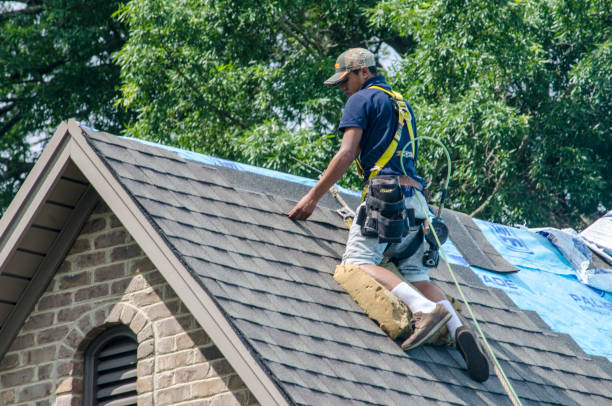 Best Residential Roofing Contractor  in Park City, KS